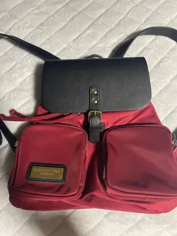 [ 상태 좋음 ] GASTON LUGA 럭색 백