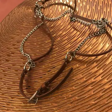 가죽과 체인 벨트 브라운