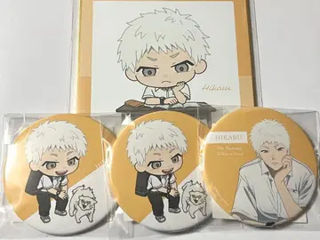 빛이 죽은 여름 쿠지비키도 온라인 복권 히카루 세트