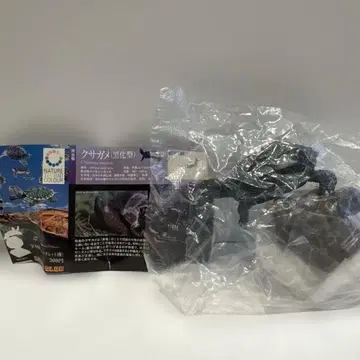 네이처 테크니컬러 일본 거북 풀무치(흑화형)