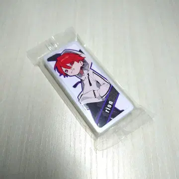 Crazy Raccoon CR 페스티벌 2024 민트 태블릿 rion