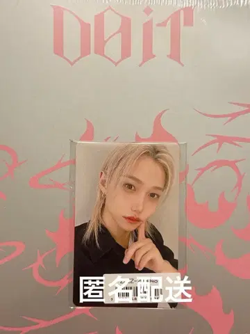 straykids do it 필릭스 트레이딩 카드 소니뮤