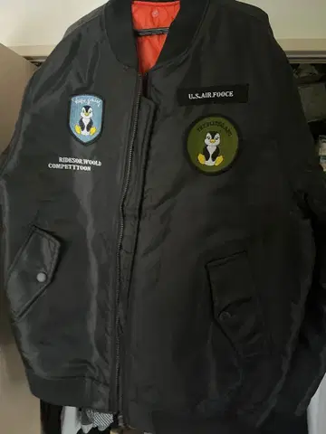 U.S. AIR FORCE MA-1 자켓 한국 코디