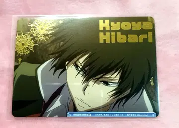 가정교사 히트맨 REBORN WSB 히바리 쿄야