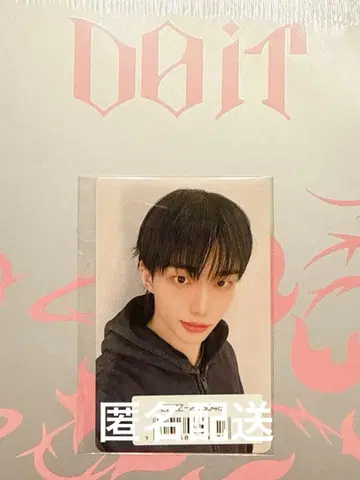 straykids do it 필릭스 트레이딩 카드 소니뮤