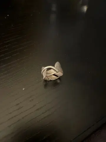 켄키쿠치 실버 페더 반지 정품