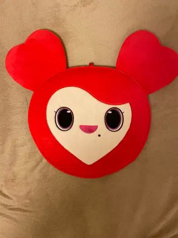 Twice 채영 부채 케이스