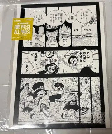 원피스 올 페이지스 형제배 베이스샵 한정판