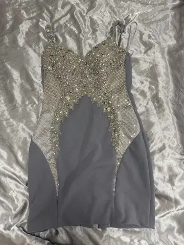 비쥬 부착 그레이 드레스