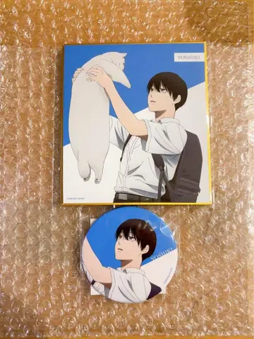 빛이 죽은 여름 제비뽑기당 요시키