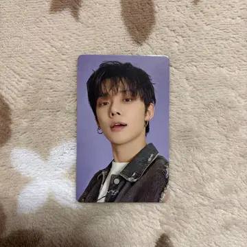 txt 뉴스레터 설문조사 혜택 트레이딩 카드 영준