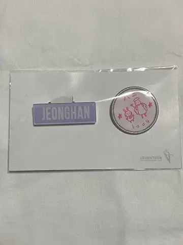 SEVENTEEN JEONGHAN 정한 네임 와펜