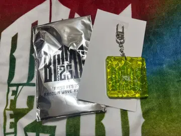 BMSG FES '25 랜덤 웨이브 키링 RUI STARGROW