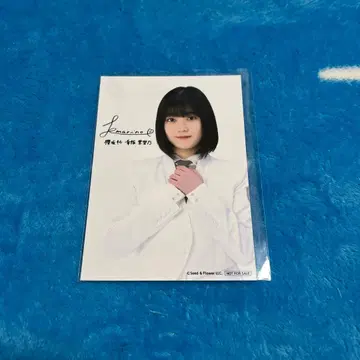 사쿠라자카46 생사진 코우사카 마리노 로손 브로마이드 당선