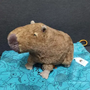 [ Jellycat ( 제리캣 ) ] [ 새상품 ] 카피바라 봉제 인형