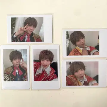 팬더드래곤 팟치 하피카