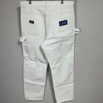 Dickies Sherwin Williams w34 아메카지 바이카)