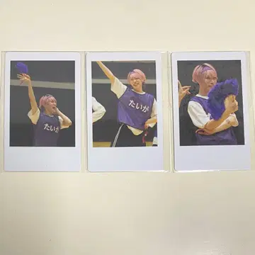 팬더드래곤 타이거 DD 대운동회 복권