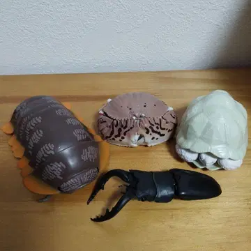 생물대도감 4종 세트