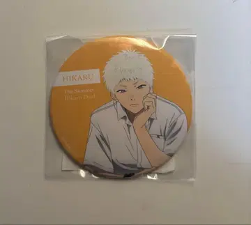 빛이 죽은 여름 빛