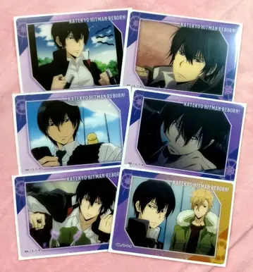 가정교사 히트맨 REBORN 파보카 히바리 쿄야