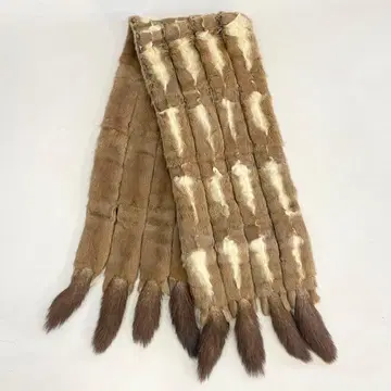 다람쥐 숄 스톨 머플러