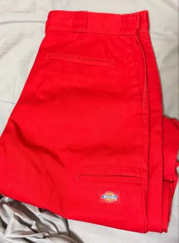 Dickies 더블니 34