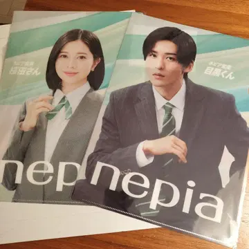 nepia 클리어 파일 2장 세트