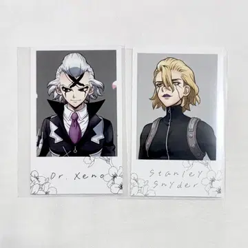 Dr.STONE 닥스토 마루이 꽃구경 제노 스탠리 포토 카드