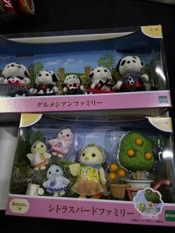 달마시안 패밀리 시트러스 버드 패밀리 세트