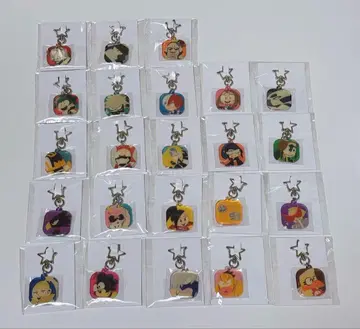 히로아카 팝 참 키링