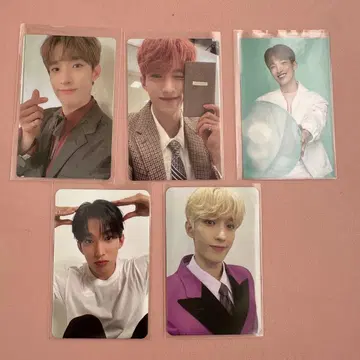 SEVENTEEN 도겸 트레이딩 카드 묶음 판매 세트