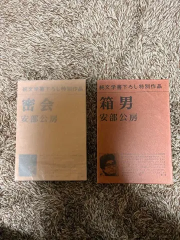 아베 코보 문학 작품 세트 밀회 상자 인간