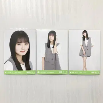 엔도 사쿠라 썸머 베스트 컴프 노기자카46 브로마이드