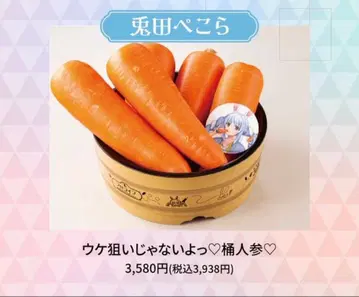 후로라이프 우사다 페코라 욕조