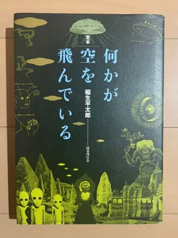 정본 무언가가 하늘을 날고 있다