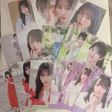 이코라부 노구치 이오리 생사진 묶음 판매