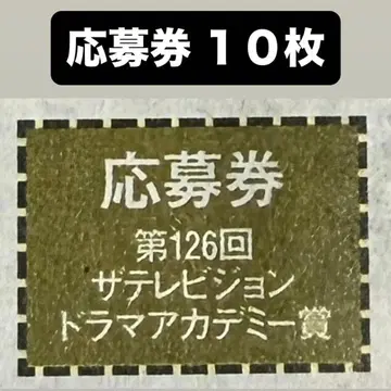 더 텔레비전 응모권 드라마 아카데미상