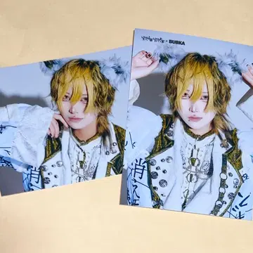 사루마토라 생사진 브로마이드 MADMED 마드메도 BUBKA