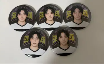 SEVENTEEN HOME 2025 디노 캔 배지 모음