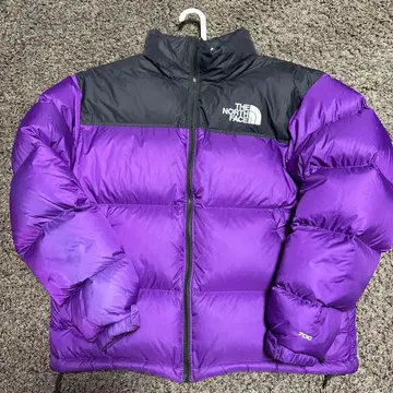 THE NORTH FACE 다운 자켓
