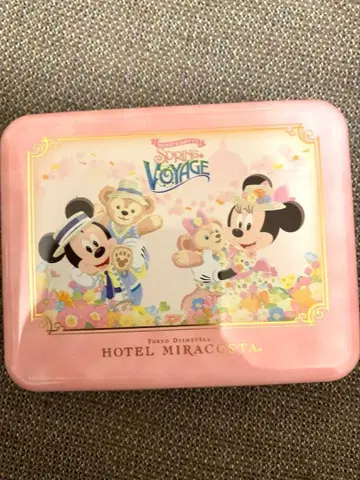 디즈니 호텔 미라코스타