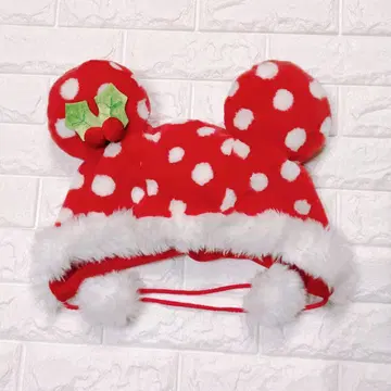 디즈니 미니 팬캡 크리스마스