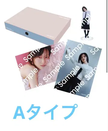 [ 미개봉 A 타입 ] 야마시타 미즈키 2026 달력 세트