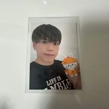 BALLISTIKBOYZ 포토 카드 카노 요시마사