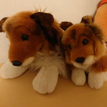 레갈로 리얼 도그 컬렉션 쉘티 대소 세트