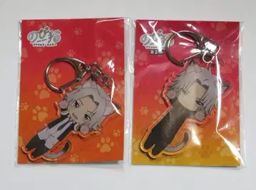 가정교사 히트맨 리본! 고쿠데라 하야토 노비네코 2종 세트