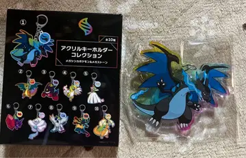 아크릴 키링 컬렉션 메가 리자몽 X