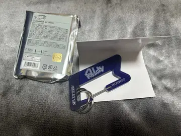 SEVENTEEN 원우 카라비너 키링