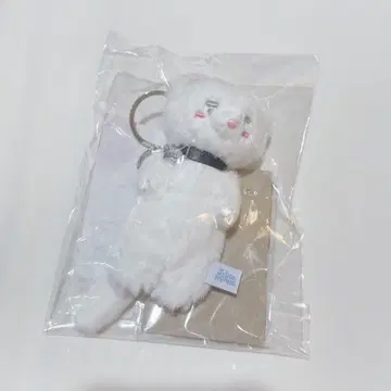 SHINee ONEW 팝업 이타치 트레이딩 카드 포함 봉제 인형